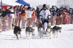 Lenk 2013